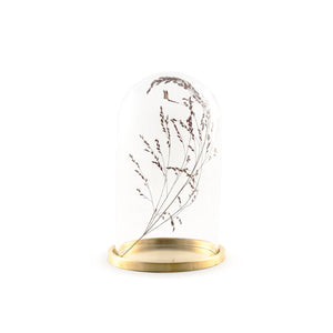 
                  
                    embellish dome, small messing
                  
                