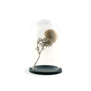 
                  
                    embellish dome, small sort
                  
                